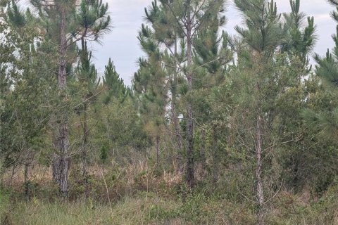 Land in Indian lake estates, Florida № 2161747