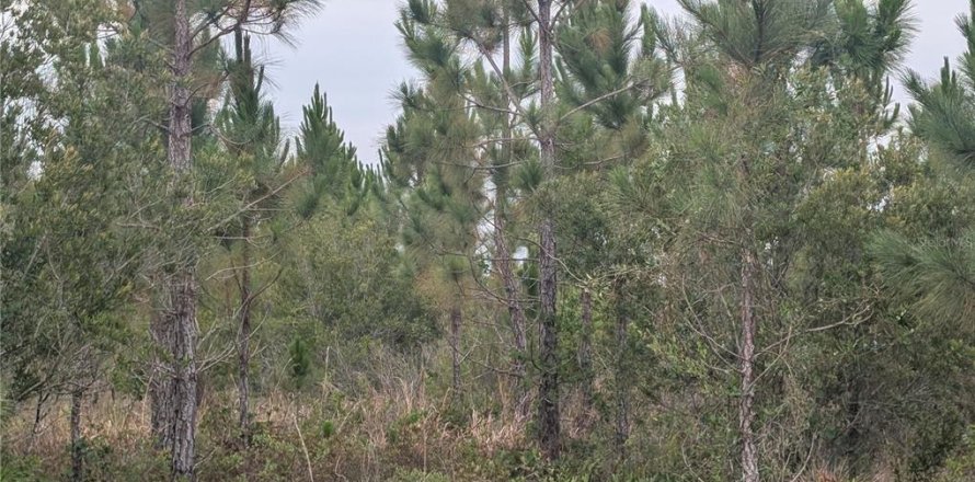Land in Indian lake estates, Florida № 2161747