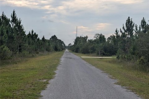 Land in Indian lake estates, Florida № 2161747 - photo 5
