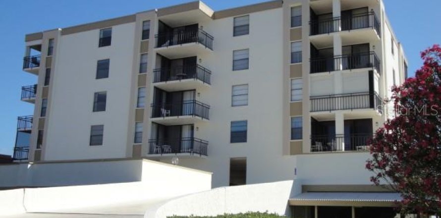 Studio à Condo à Saint Petersburg, Floride № 1052978