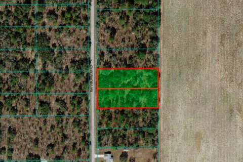 Купить земельный участок в Даннеллон, Флорида № 1913969 - фото 2