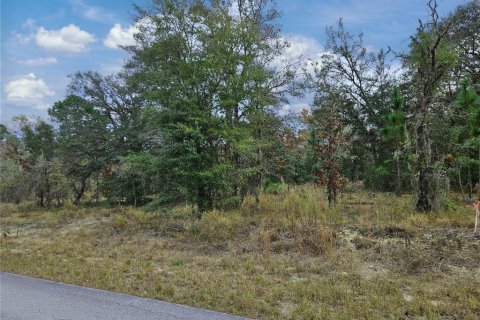Купить земельный участок в Даннеллон, Флорида № 1913969 - фото 6