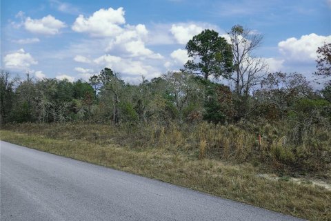 Купить земельный участок в Даннеллон, Флорида № 1913969 - фото 1