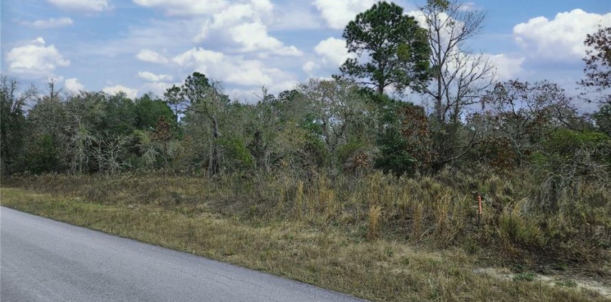 Terrain à Dunnellon, Floride № 1913969
