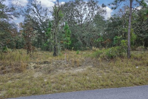 Купить земельный участок в Даннеллон, Флорида № 1913969 - фото 7