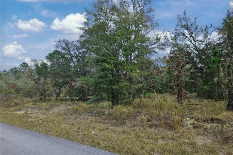 Купить земельный участок в Даннеллон, Флорида № 1913969 - фото 5