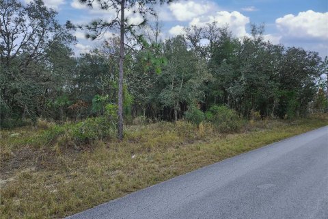 Купить земельный участок в Даннеллон, Флорида № 1913969 - фото 8