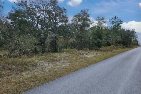 Купить земельный участок в Даннеллон, Флорида № 1913969 - фото 4