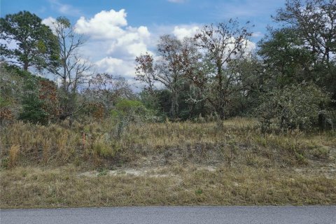 Купить земельный участок в Даннеллон, Флорида № 1913969 - фото 3