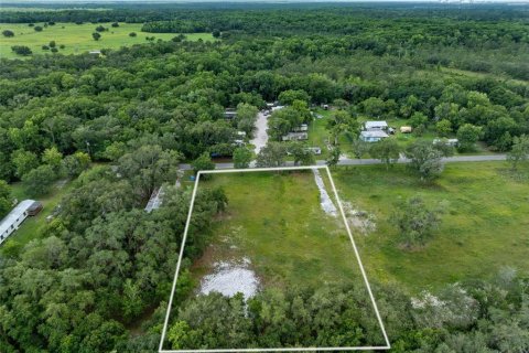 Land in Orlando, Florida № 1527270 - photo 6