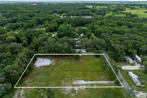 Land in Orlando, Florida № 1527270 - photo 4