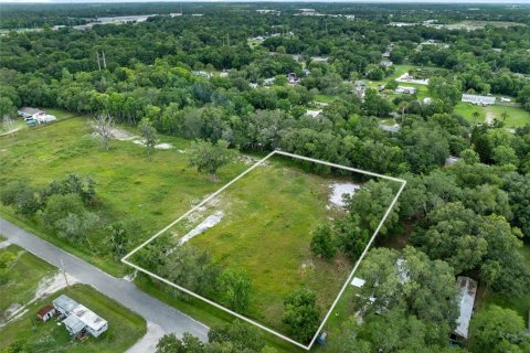 Land in Orlando, Florida № 1527270 - photo 1
