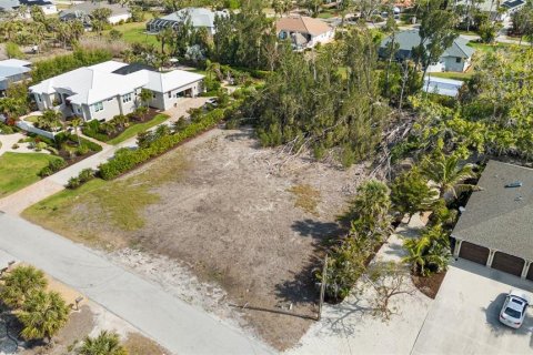 Land in Placida, Florida № 1850272 - photo 3