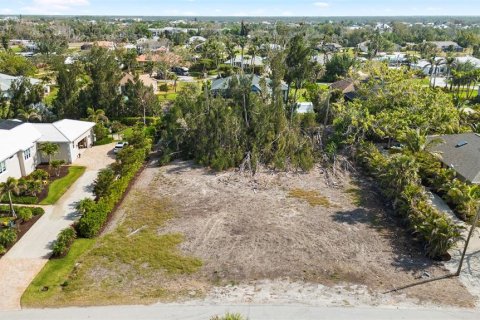 Land in Placida, Florida № 1850272 - photo 2