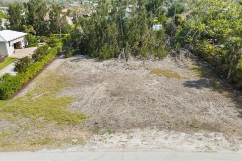 Land in Placida, Florida № 1850272 - photo 1