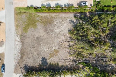 Land in Placida, Florida № 1850272 - photo 4