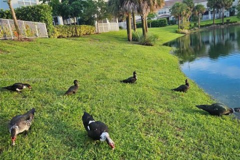 Adosado en venta en Hollywood, Florida, 3 dormitorios № 1946772 - foto 24