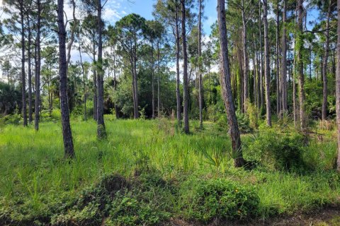 Commercial property in Port St. Lucie, Florida № 2086051 - photo 2
