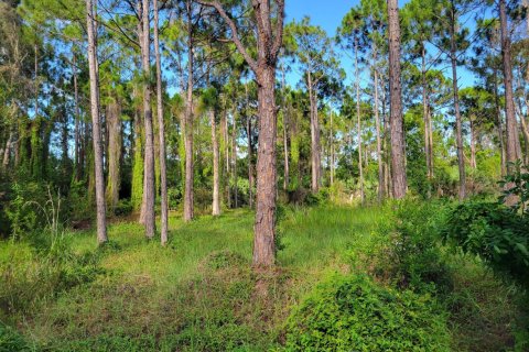 Commercial property in Port St. Lucie, Florida № 2086051 - photo 4