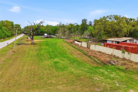 Land in Tampa, Florida № 2396939 - photo 13
