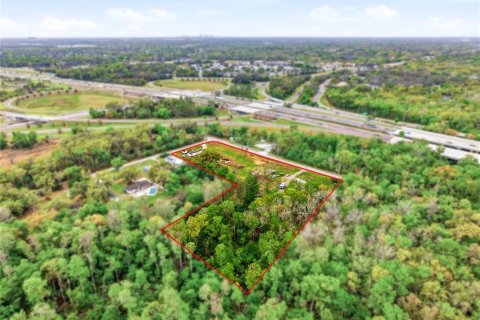 Land in Tampa, Florida № 2396939 - photo 4