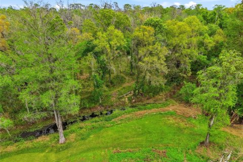 Land in Tampa, Florida № 2396939 - photo 16