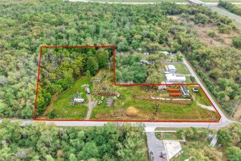 Land in Tampa, Florida № 2396939 - photo 2