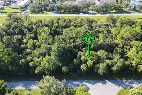 Land in Port Charlotte, Florida № 2355910