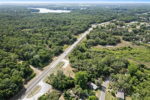 Terreno en venta en Floral City, Florida № 1759258 - foto 18