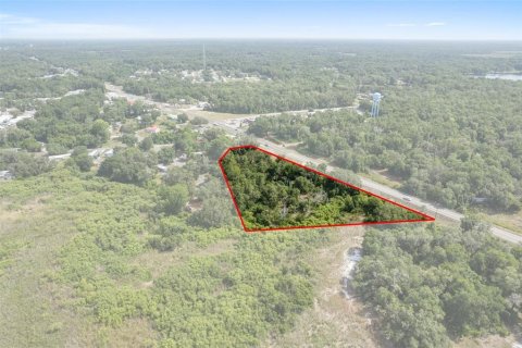 Terreno en venta en Floral City, Florida № 1759258 - foto 3