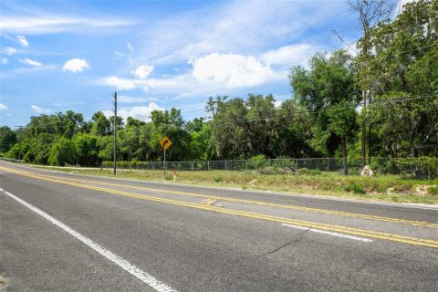 Terreno en venta en Floral City, Florida № 1759258 - foto 23