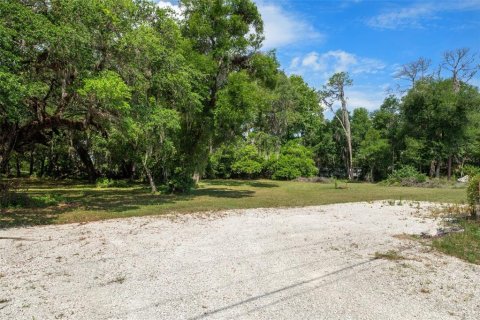 Terreno en venta en Floral City, Florida № 1759258 - foto 25