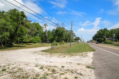 Terreno en venta en Floral City, Florida № 1759258 - foto 27