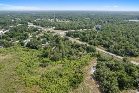 Terreno en venta en Floral City, Florida № 1759258 - foto 13