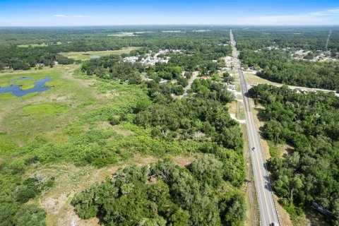 Terreno en venta en Floral City, Florida № 1759258 - foto 12