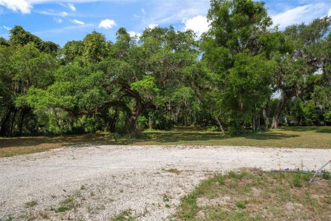 Terreno en venta en Floral City, Florida № 1759258 - foto 24