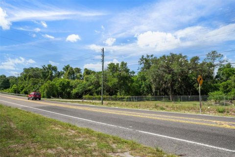 Terreno en venta en Floral City, Florida № 1759258 - foto 22