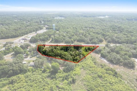Terreno en venta en Floral City, Florida № 1759258 - foto 4