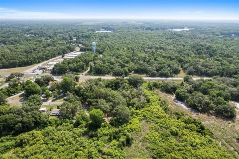 Terreno en venta en Floral City, Florida № 1759258 - foto 15
