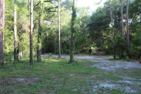 Terrain à vendre à Archer, Floride № 2205089 - photo 20