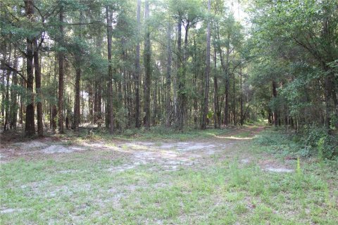 Terrain à vendre à Archer, Floride № 2205089 - photo 4