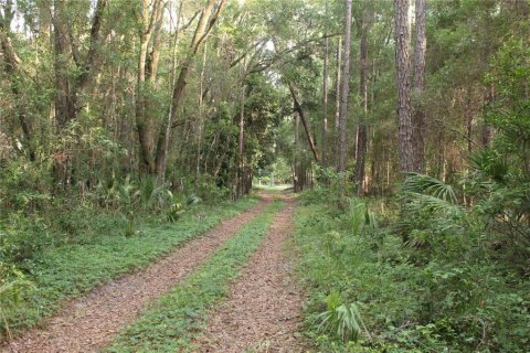 Terrain à vendre à Archer, Floride № 2205089 - photo 2