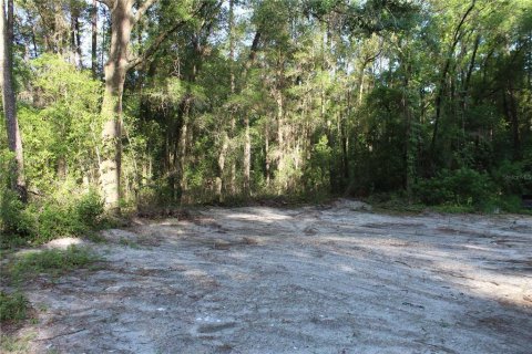 Terrain à vendre à Archer, Floride № 2205089 - photo 8