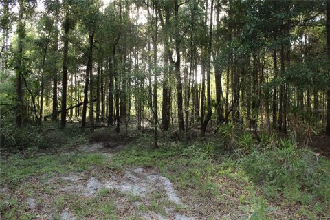 Terrain à vendre à Archer, Floride № 2205089 - photo 14