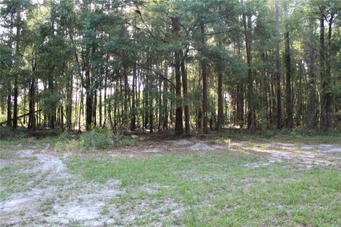 Terrain à vendre à Archer, Floride № 2205089 - photo 6
