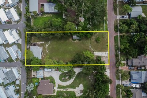 Land in Saint Petersburg, Florida № 1906512 - photo 3