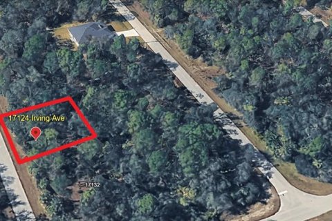 Land in Port Charlotte, Florida № 2163394