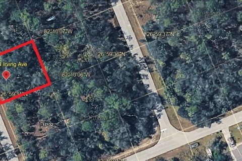 Land in Port Charlotte, Florida № 2163394 - photo 2