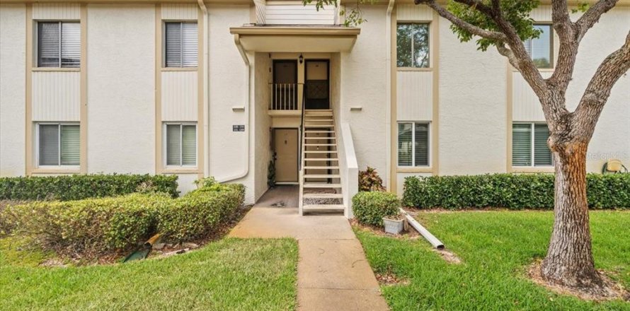Condo in Oldsmar, Florida, 2 bedrooms  № 1662311