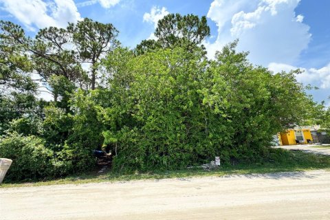 Land in Vero Beach, Florida № 2158617 - photo 3